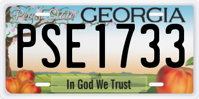 GA license plate PSE1733