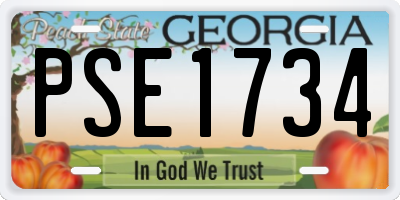 GA license plate PSE1734