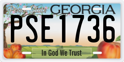 GA license plate PSE1736