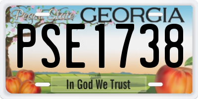 GA license plate PSE1738