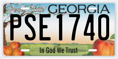 GA license plate PSE1740