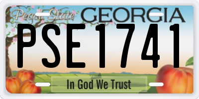 GA license plate PSE1741