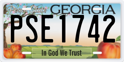 GA license plate PSE1742