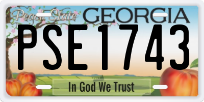 GA license plate PSE1743