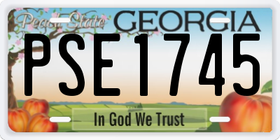 GA license plate PSE1745