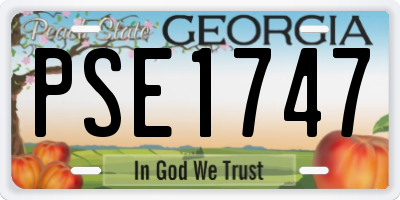 GA license plate PSE1747
