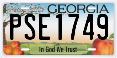 GA license plate PSE1749