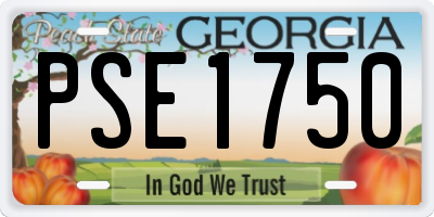 GA license plate PSE1750