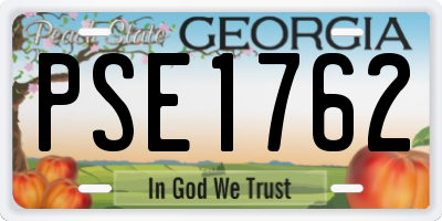 GA license plate PSE1762