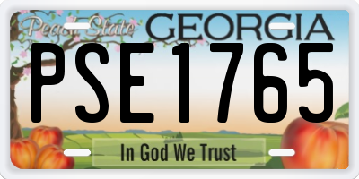 GA license plate PSE1765