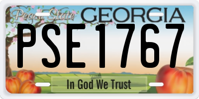 GA license plate PSE1767