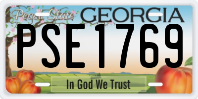 GA license plate PSE1769