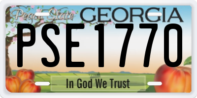 GA license plate PSE1770