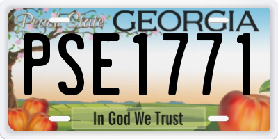 GA license plate PSE1771