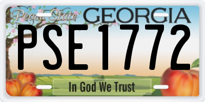 GA license plate PSE1772