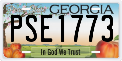 GA license plate PSE1773