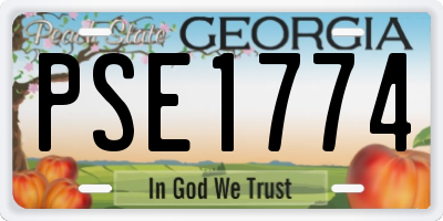 GA license plate PSE1774