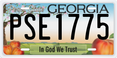 GA license plate PSE1775