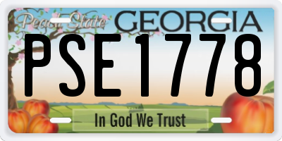 GA license plate PSE1778