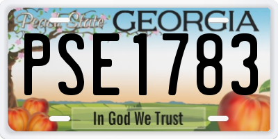 GA license plate PSE1783