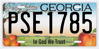 GA license plate PSE1785
