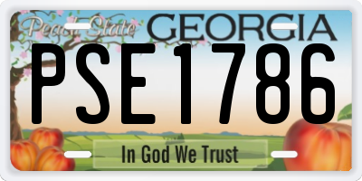 GA license plate PSE1786