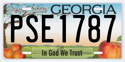 GA license plate PSE1787