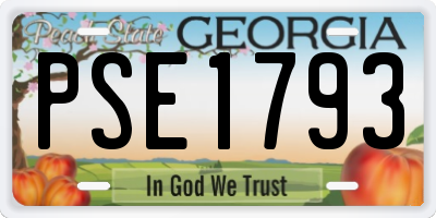 GA license plate PSE1793