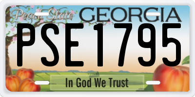 GA license plate PSE1795