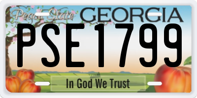 GA license plate PSE1799