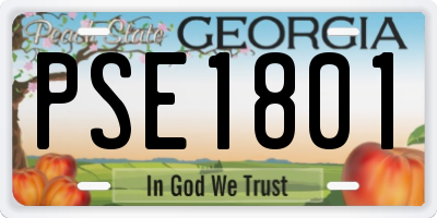 GA license plate PSE1801
