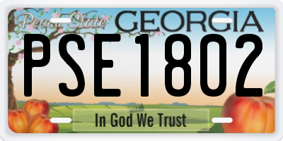 GA license plate PSE1802