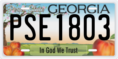 GA license plate PSE1803