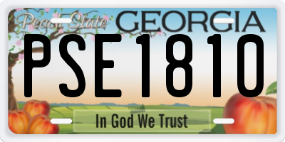 GA license plate PSE1810