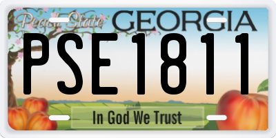 GA license plate PSE1811