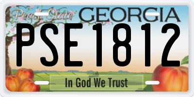 GA license plate PSE1812