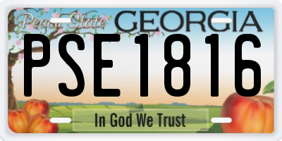 GA license plate PSE1816