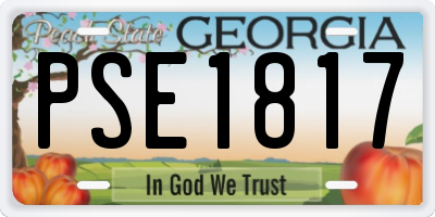 GA license plate PSE1817