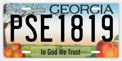 GA license plate PSE1819