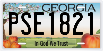 GA license plate PSE1821