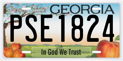 GA license plate PSE1824