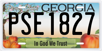 GA license plate PSE1827