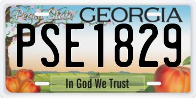 GA license plate PSE1829