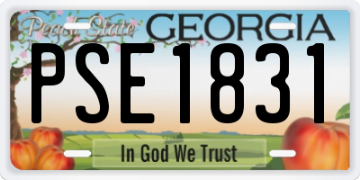 GA license plate PSE1831