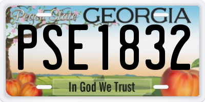 GA license plate PSE1832