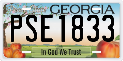 GA license plate PSE1833