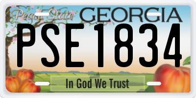 GA license plate PSE1834