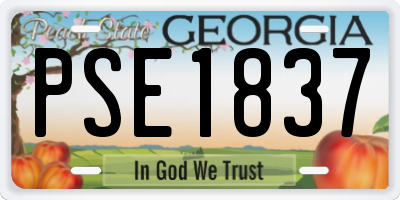 GA license plate PSE1837