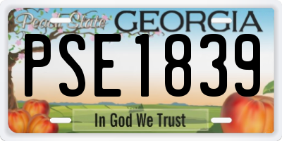GA license plate PSE1839