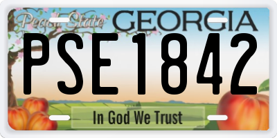 GA license plate PSE1842